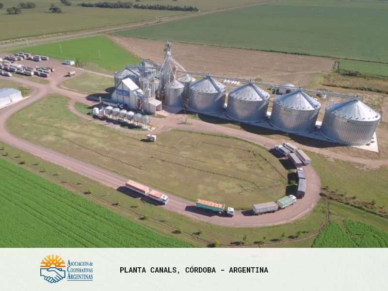 Planta de Cereales - Canals
