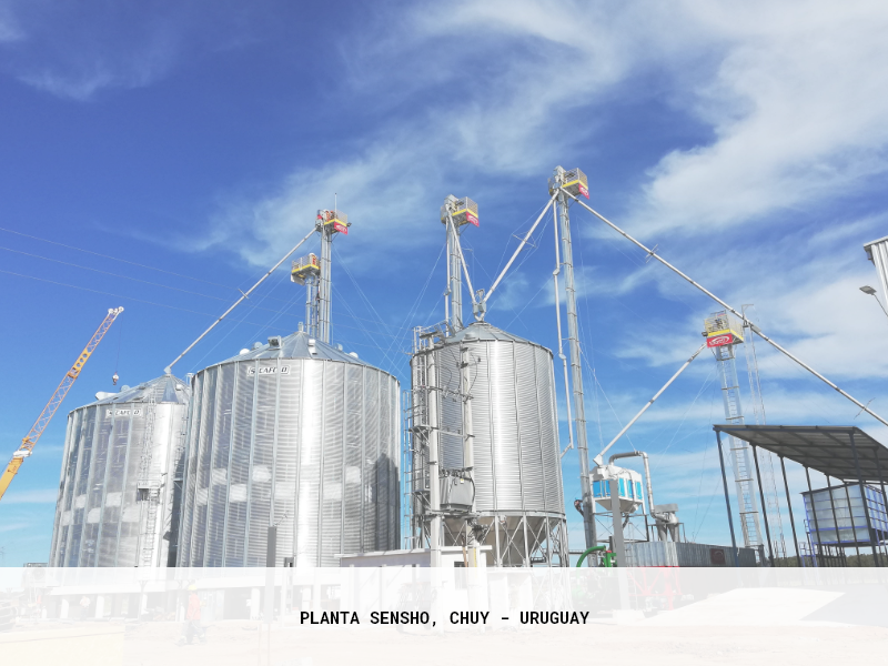 Procesamiento de Arroz - Chuy