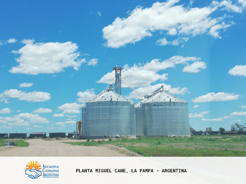 Sistema Ferroviario - Miguel Cane